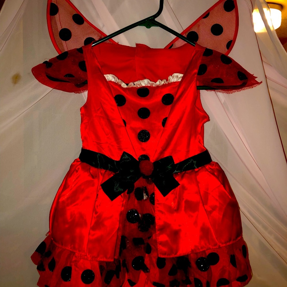 Girls 3t4t lady bug costume